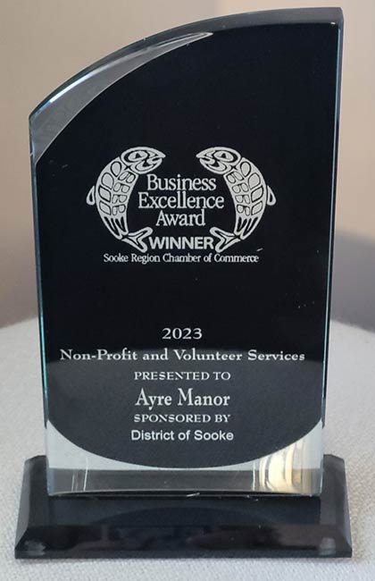 2023 Business Excellence Award for Non-Profit Volunteer Services