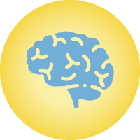 Brain